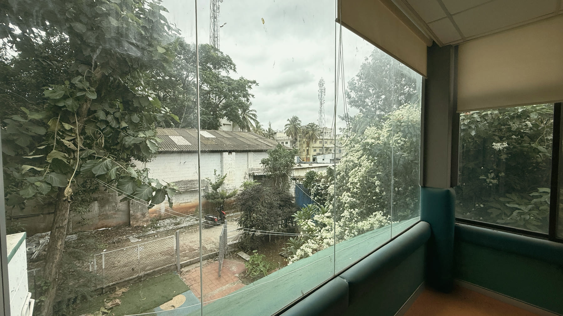 Tall windows framing the tree canopy from a ground-floor room.